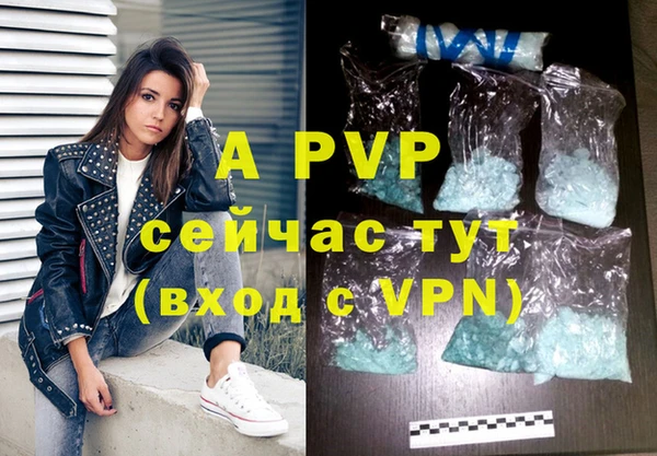 гидра Бородино