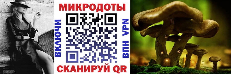 Галлюциногенные грибы GOLDEN TEACHER  Чебоксары 